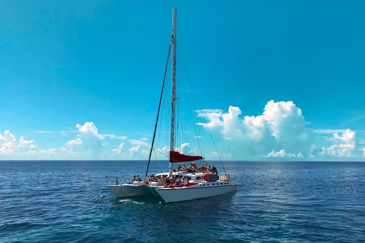 Catamaran Coral Reef Snorkel