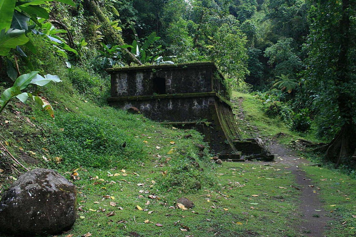 Rainforest Hike in Martinique