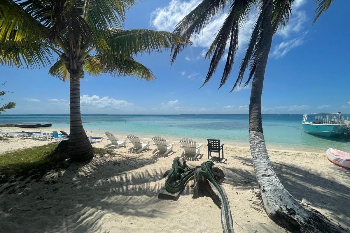 Cook Your Catch: Fishing Tour & Beach Break