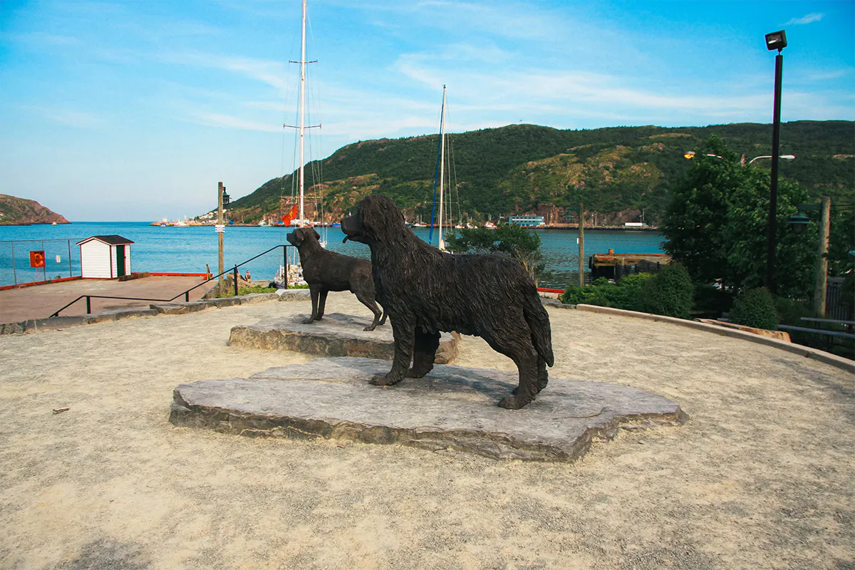 Historic St. John’s Walk and Screech-In