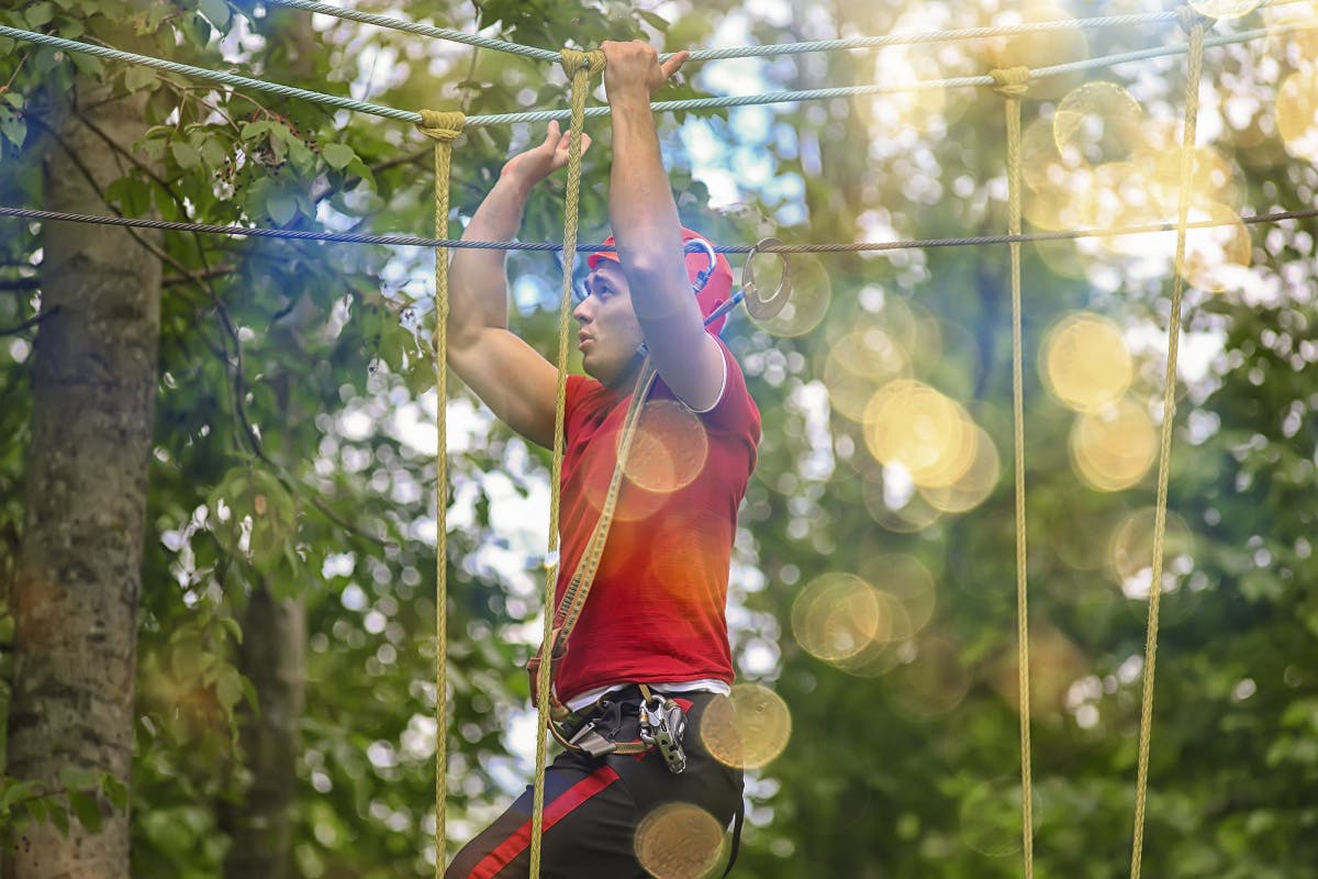 Monkey Zipline and Gully Challenge Course