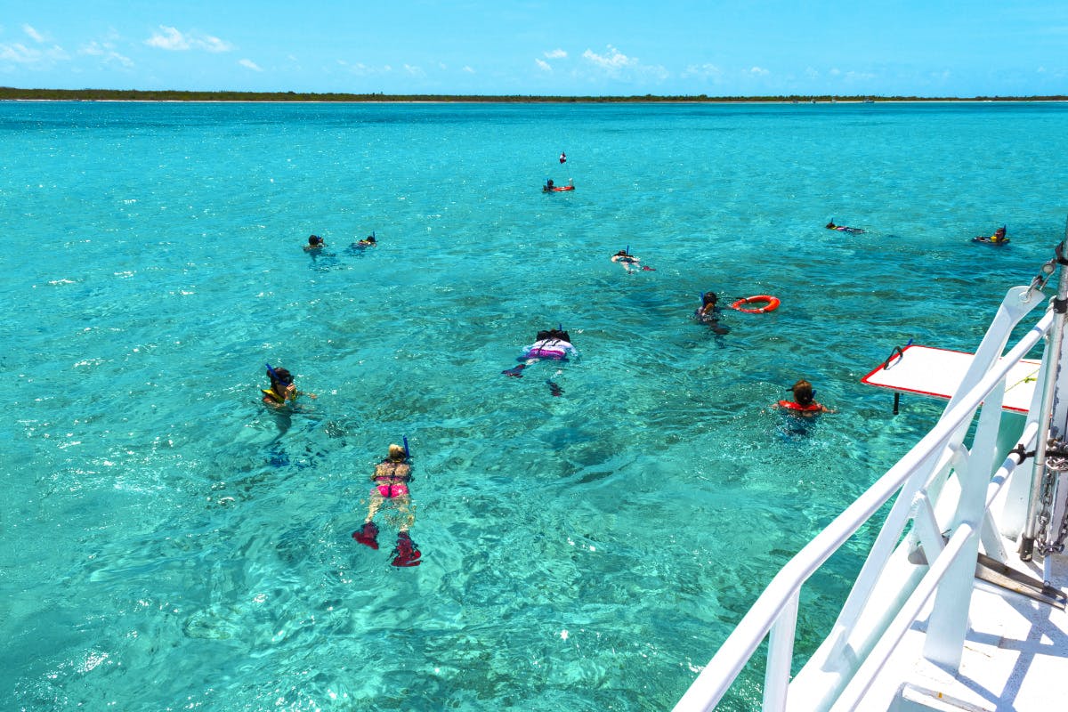 Devil's Isle Cruise Beach Snorkel