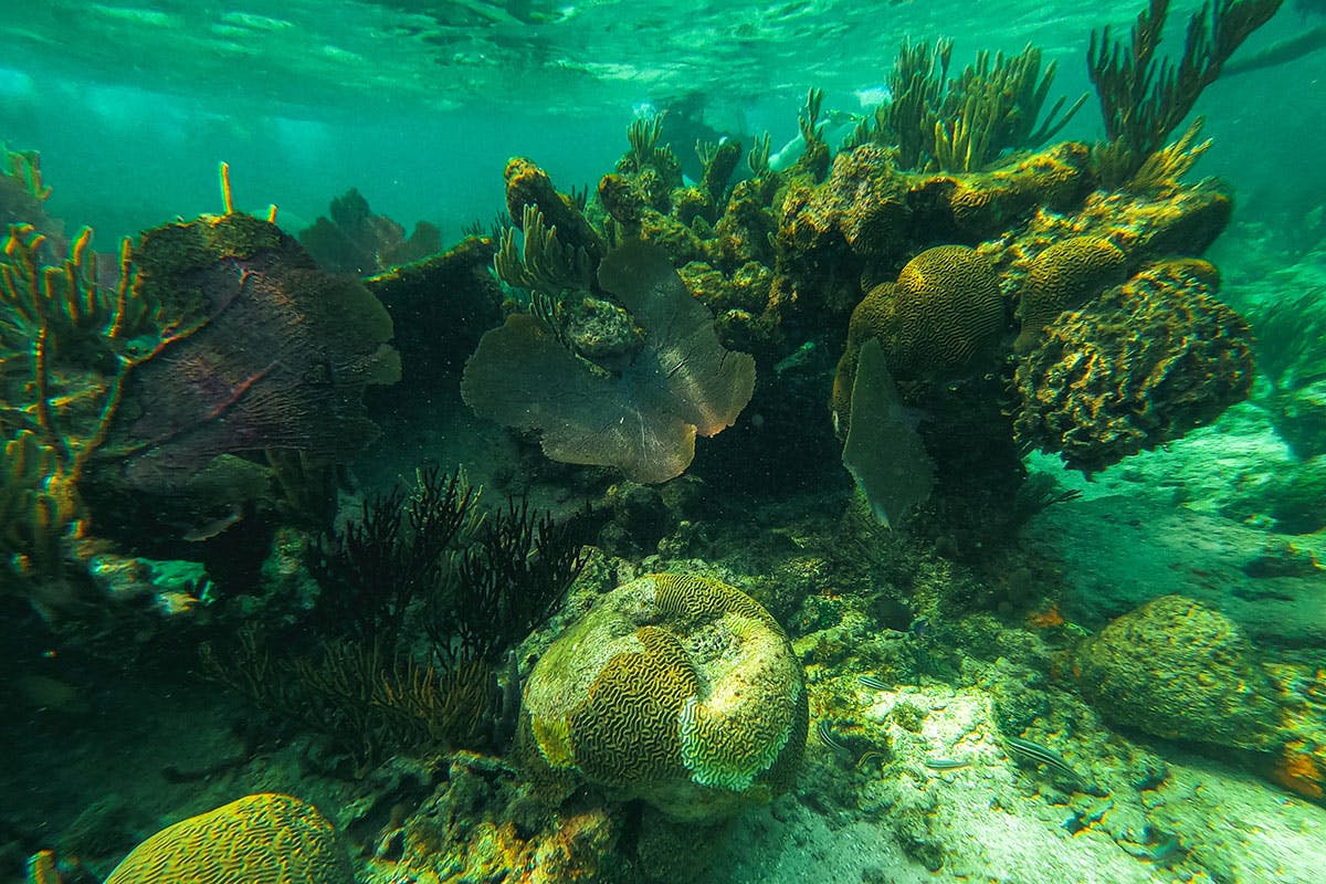 BOSS Underwater Adventure