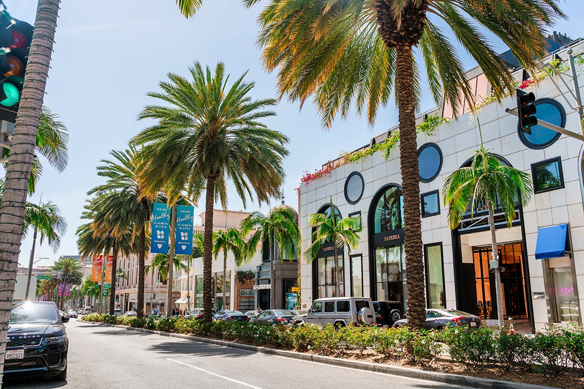 LA Highlights & Rodeo Drive