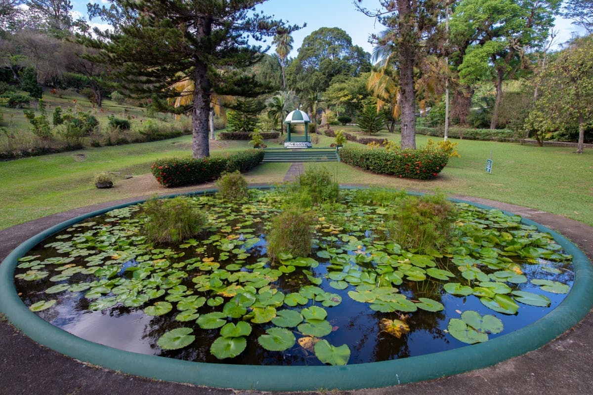 Vistas of St. Vincent Tour