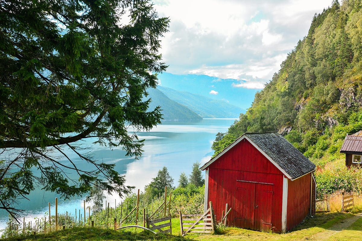 Hardangerfjord Tour and Fruit Farm Visit