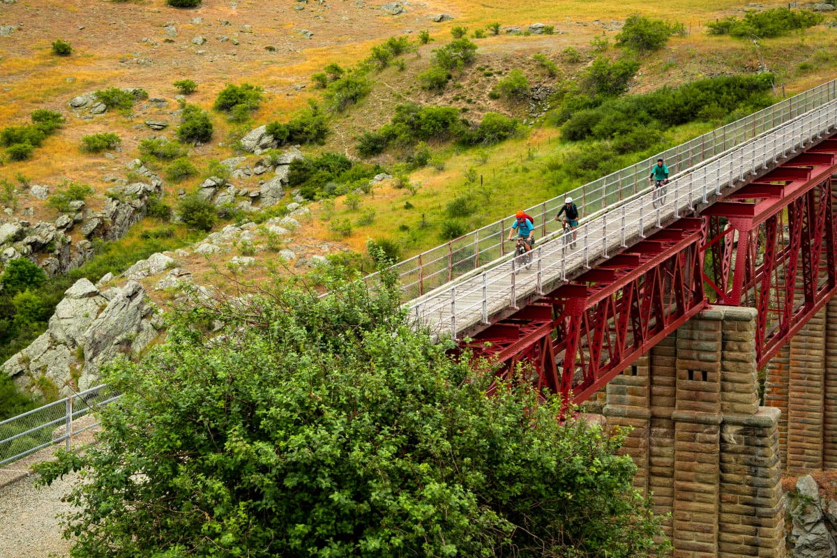 Cycle the Otago Rail Trail (Small Group Tour)