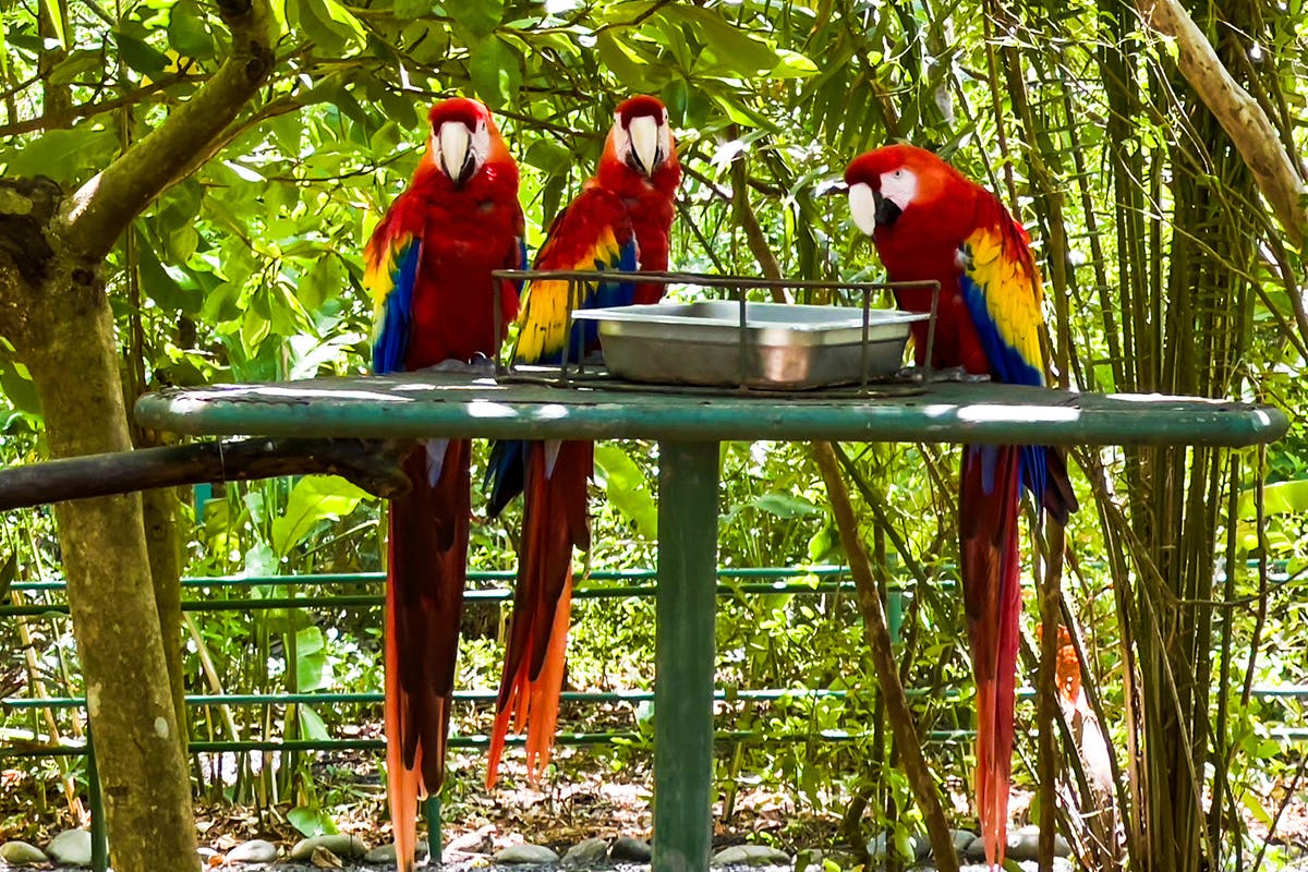 Make Animal Friends at Natuwa Wildlife Sanctuary