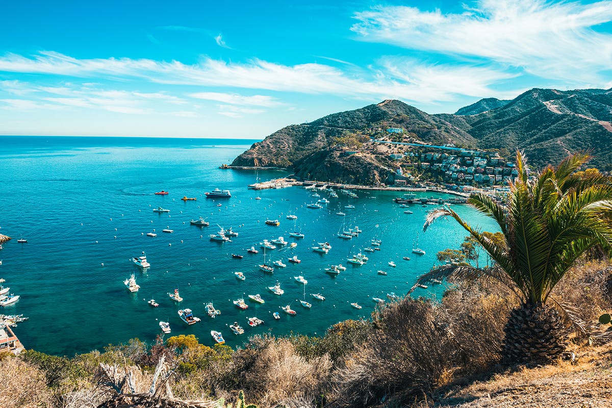 Discover Avalon: Scenic Drive