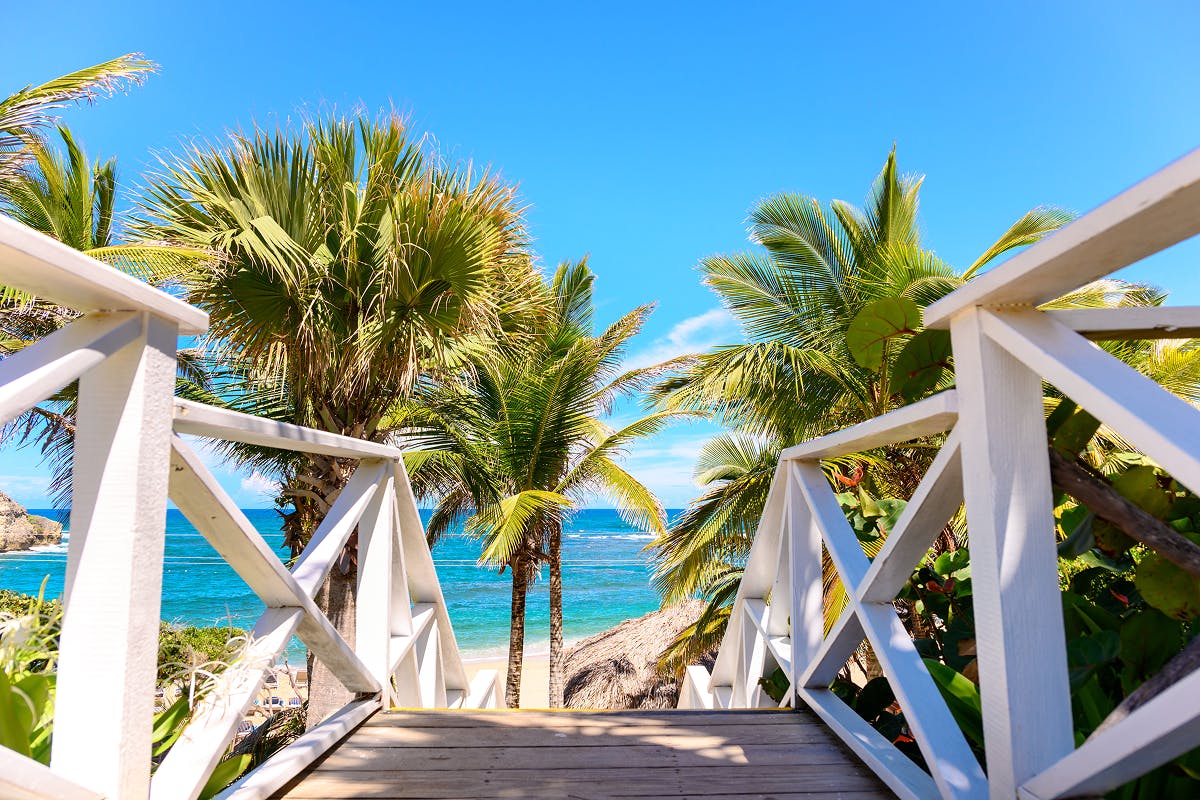 Red Hot - Rum, Roots & Relaxation