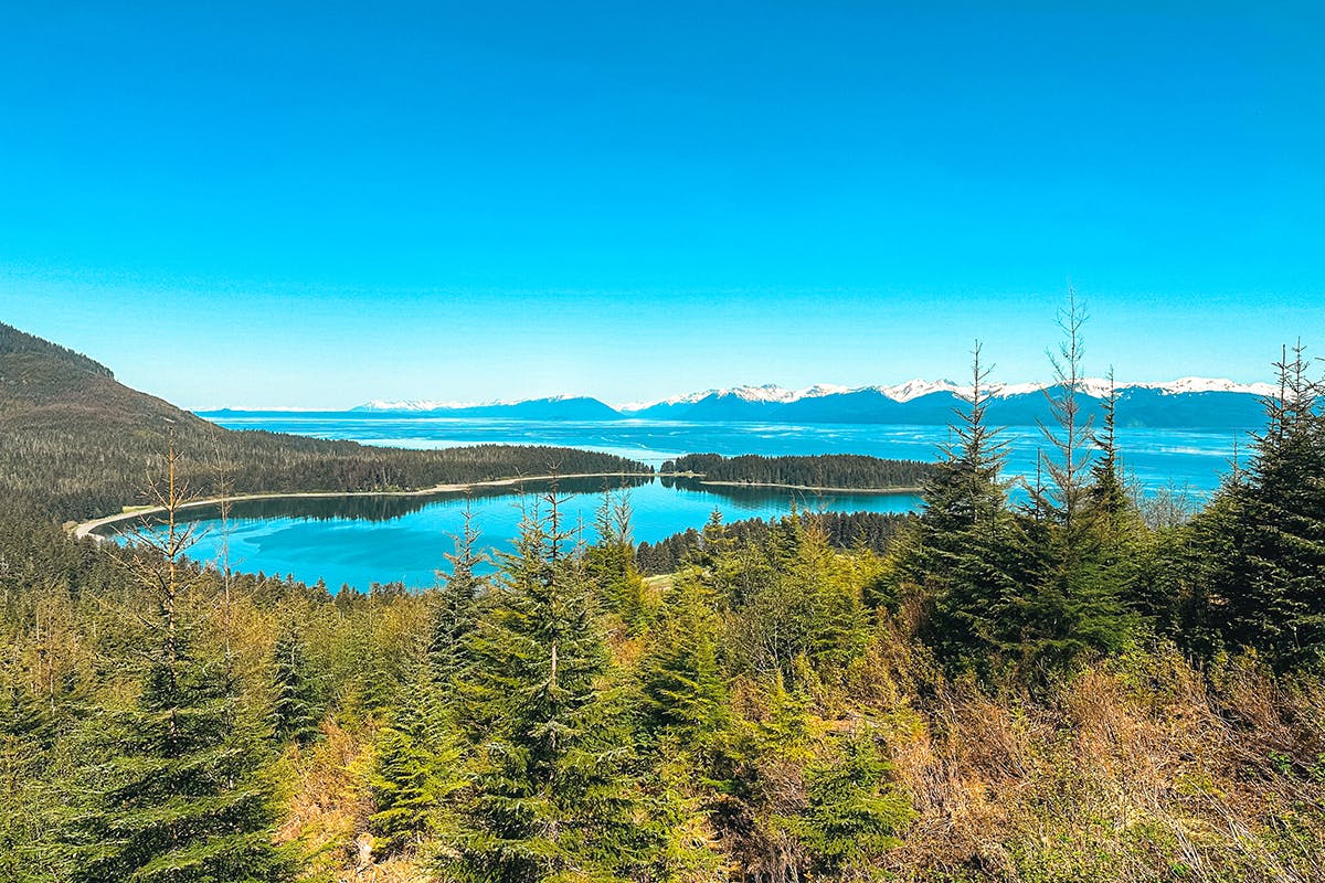 Chichagof Guided Hike