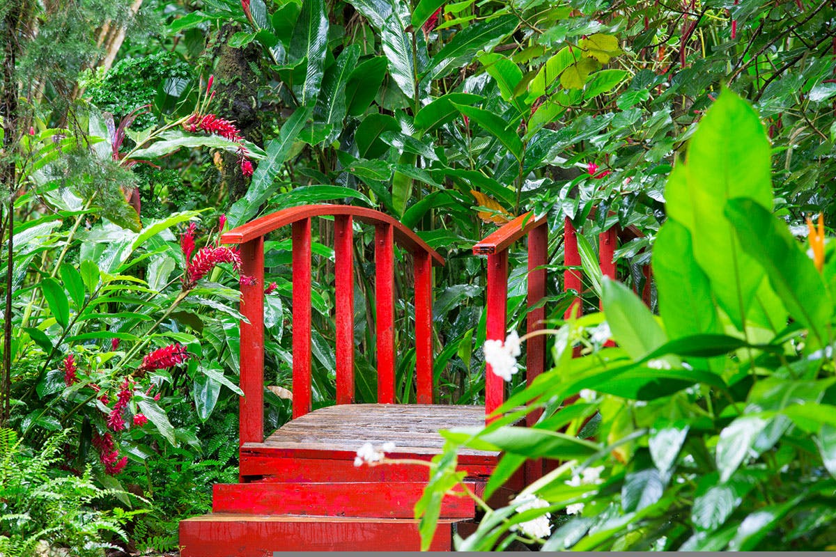 Red bridge over a lush garden.