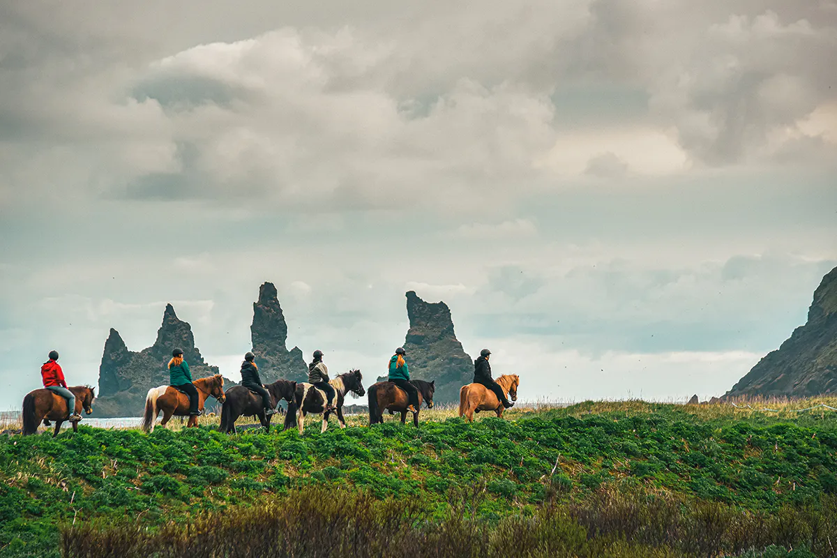 Icelandic Horseback Ride
