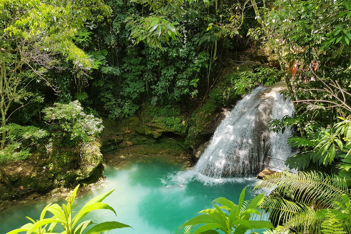 Dunn’s River Falls & Bamboo Beach
