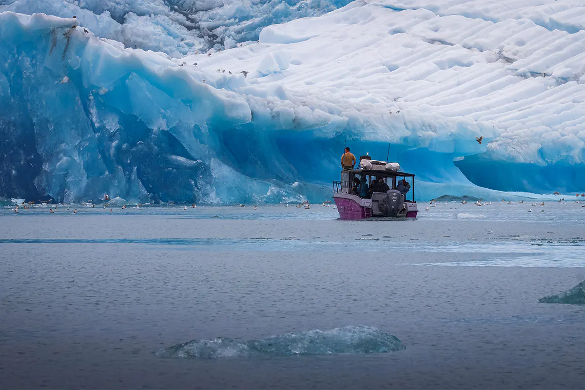 Explore Qalerallit Glacier by Boat