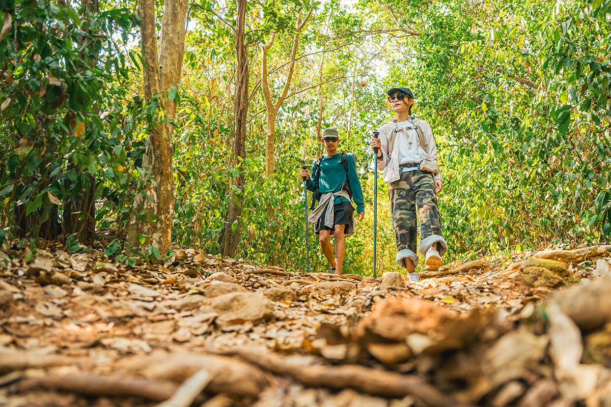 Sierra Madre River Canyon Hike & Villa Experience