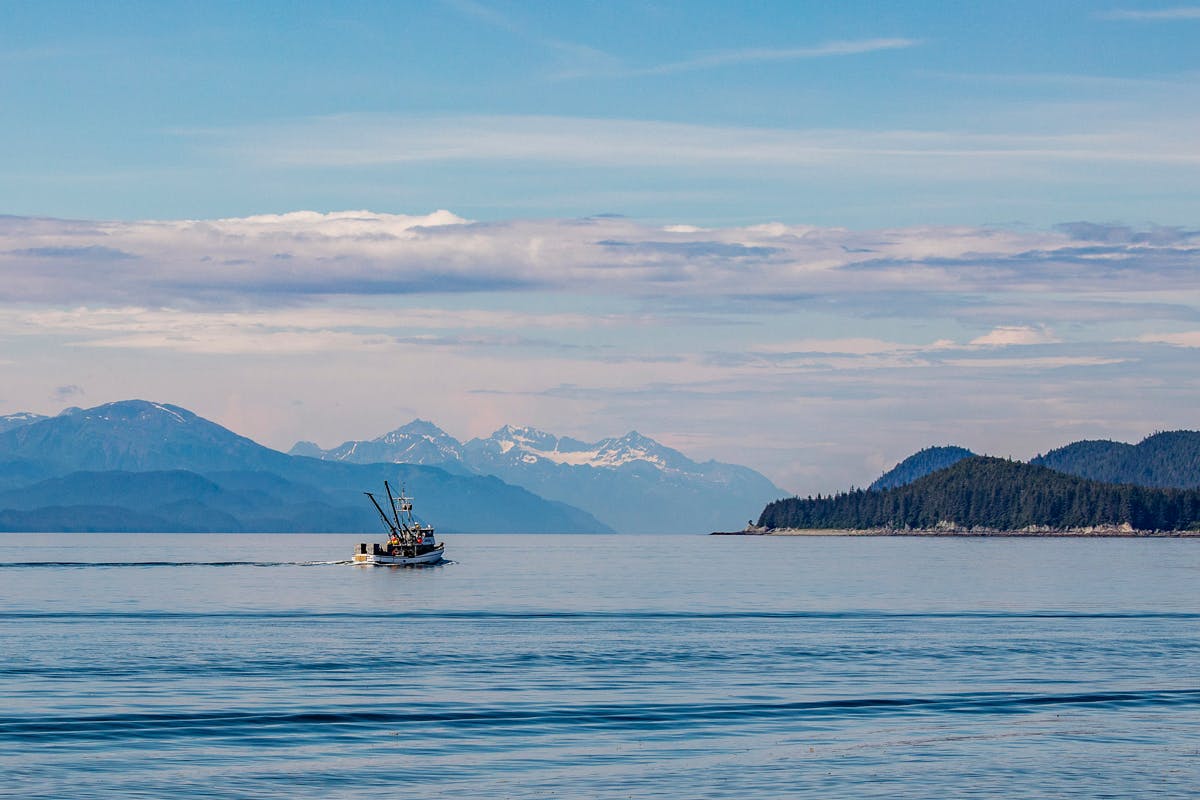 Get Hooked: Alaska Fly Fishing Adventure