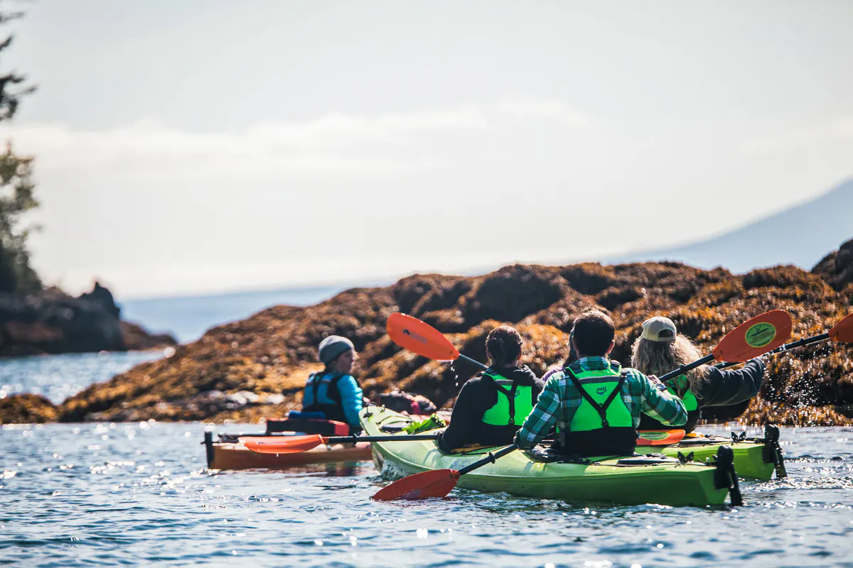 Secluded Island Cruise & Kayak Adventure