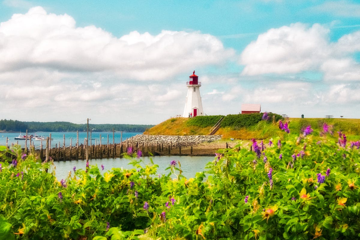 Eastport on Foot: Landmarks, Legends & Local Life