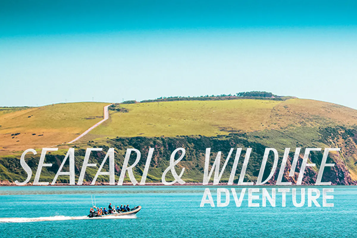Seafari &amp; Wildlife Adventure