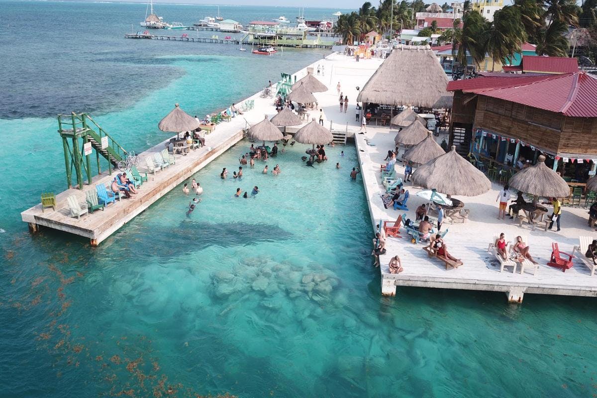 Shark & Ray Encounter and Reef Snorkeling