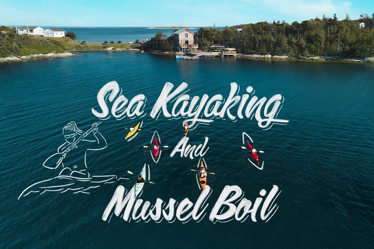 Sea Kayaking & Mussel Boil