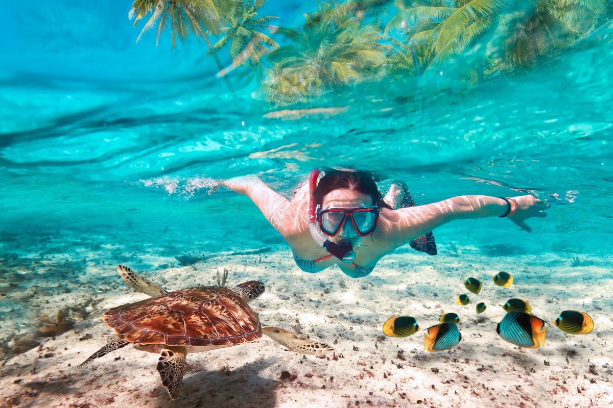 Sail and Snorkel Sea Nevis in Style