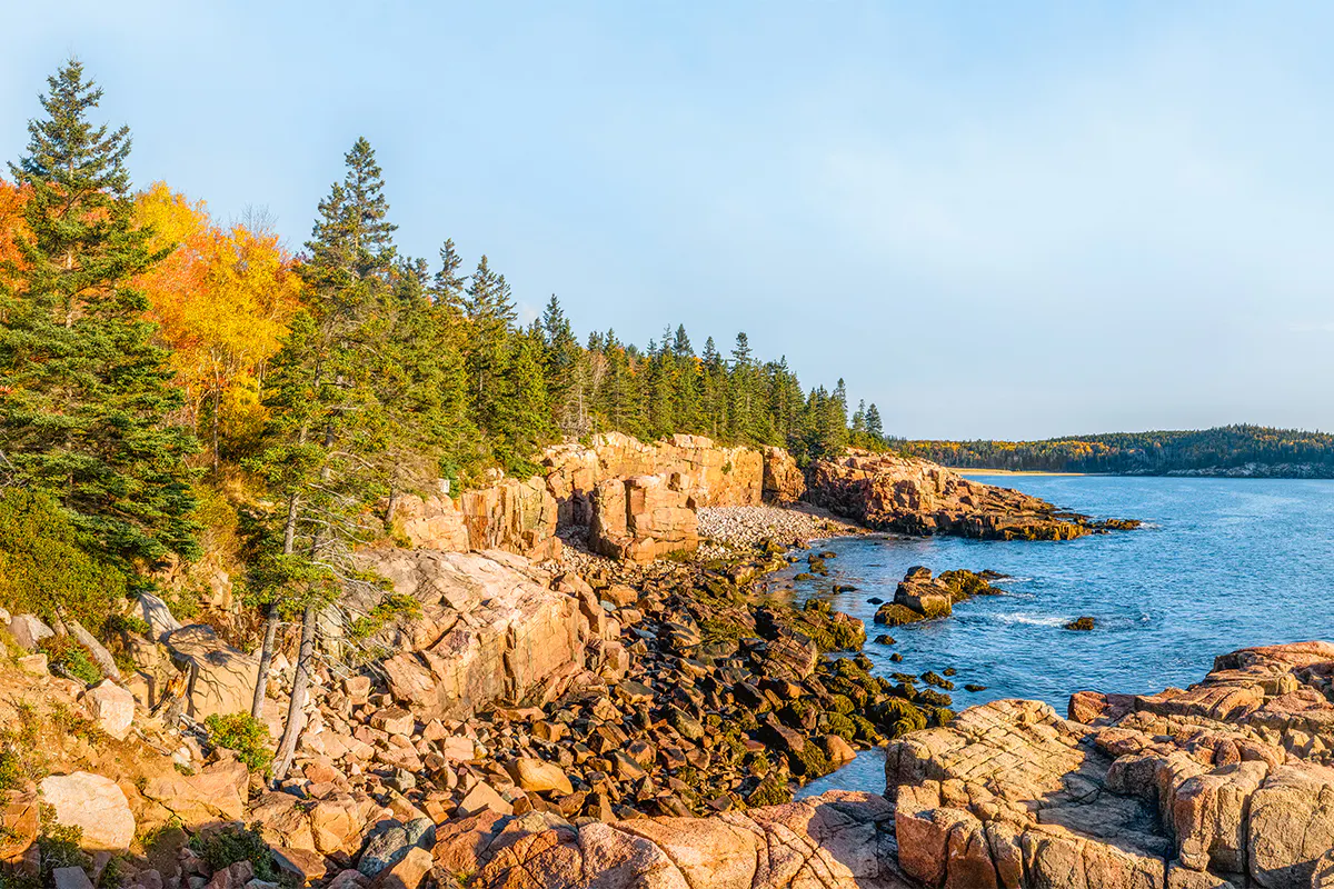 Kennebunkport and Scenic Cruise Adventure