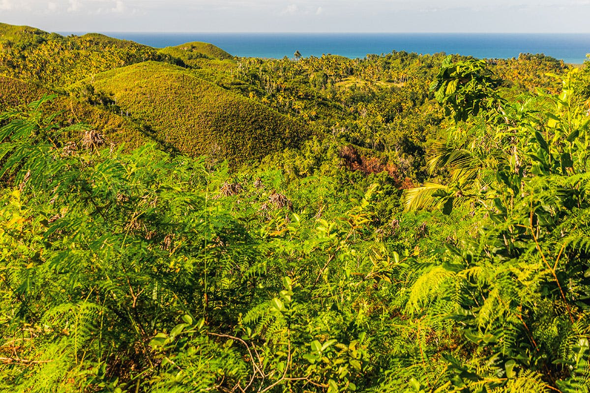 Dominican Countryside & Culture Tour