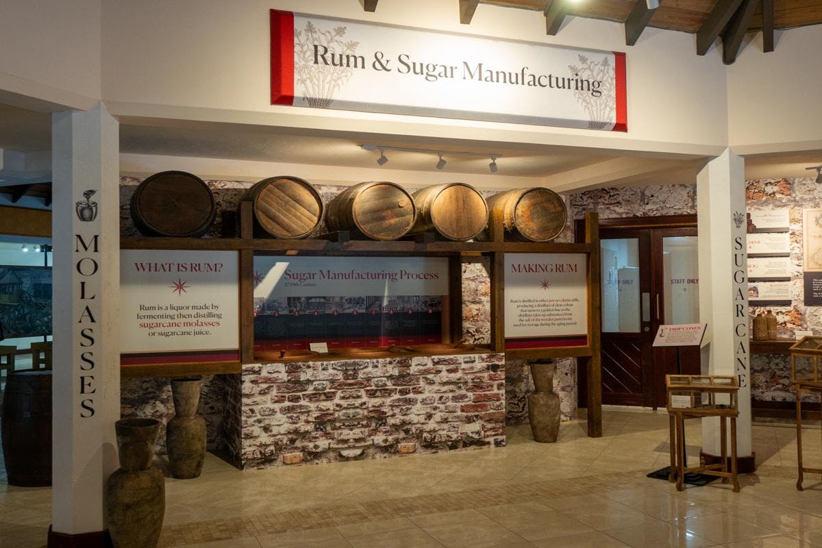 Monkey Zipline and Gully Challenge Course