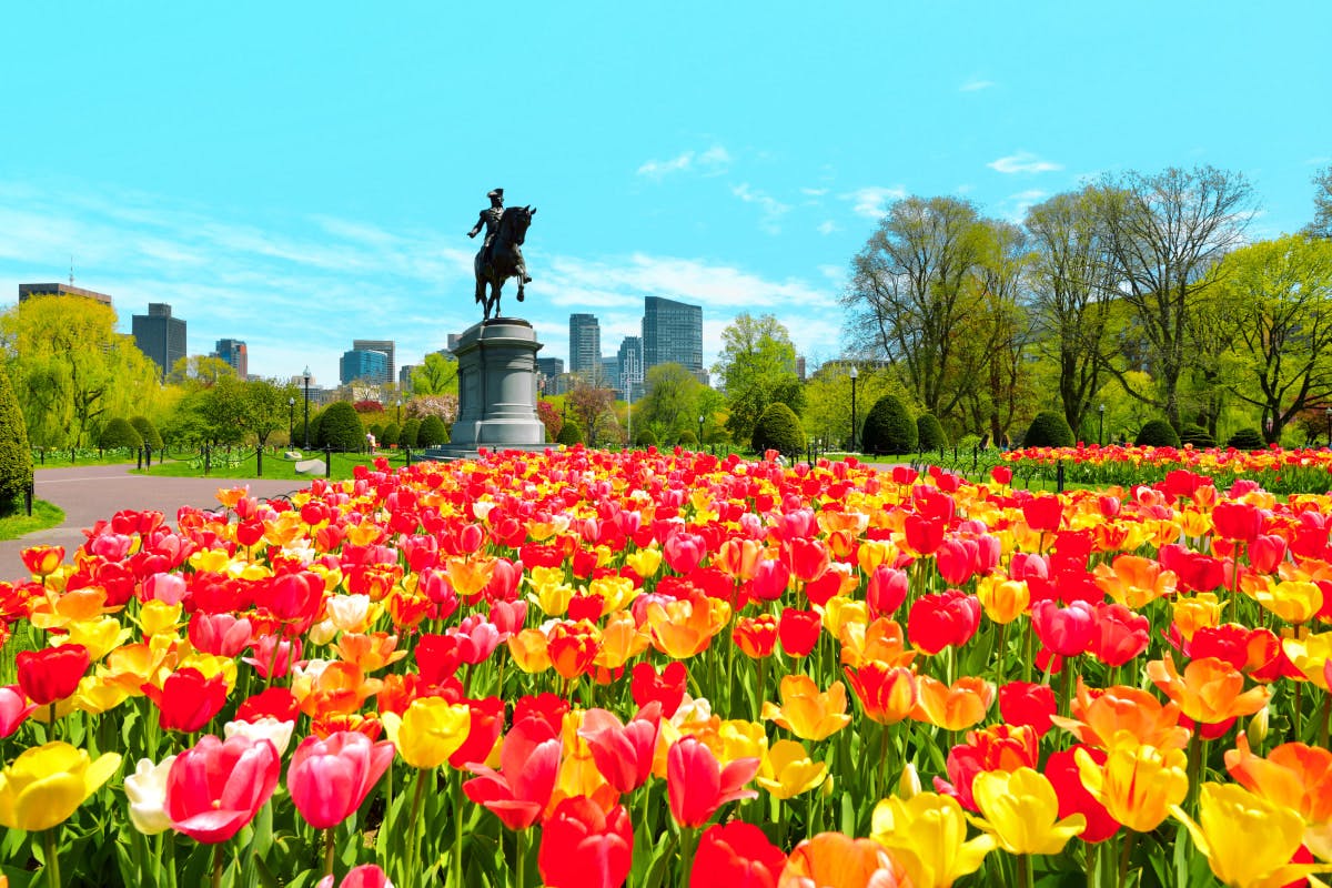 Freedom Trail & Green Dragon's Ales
