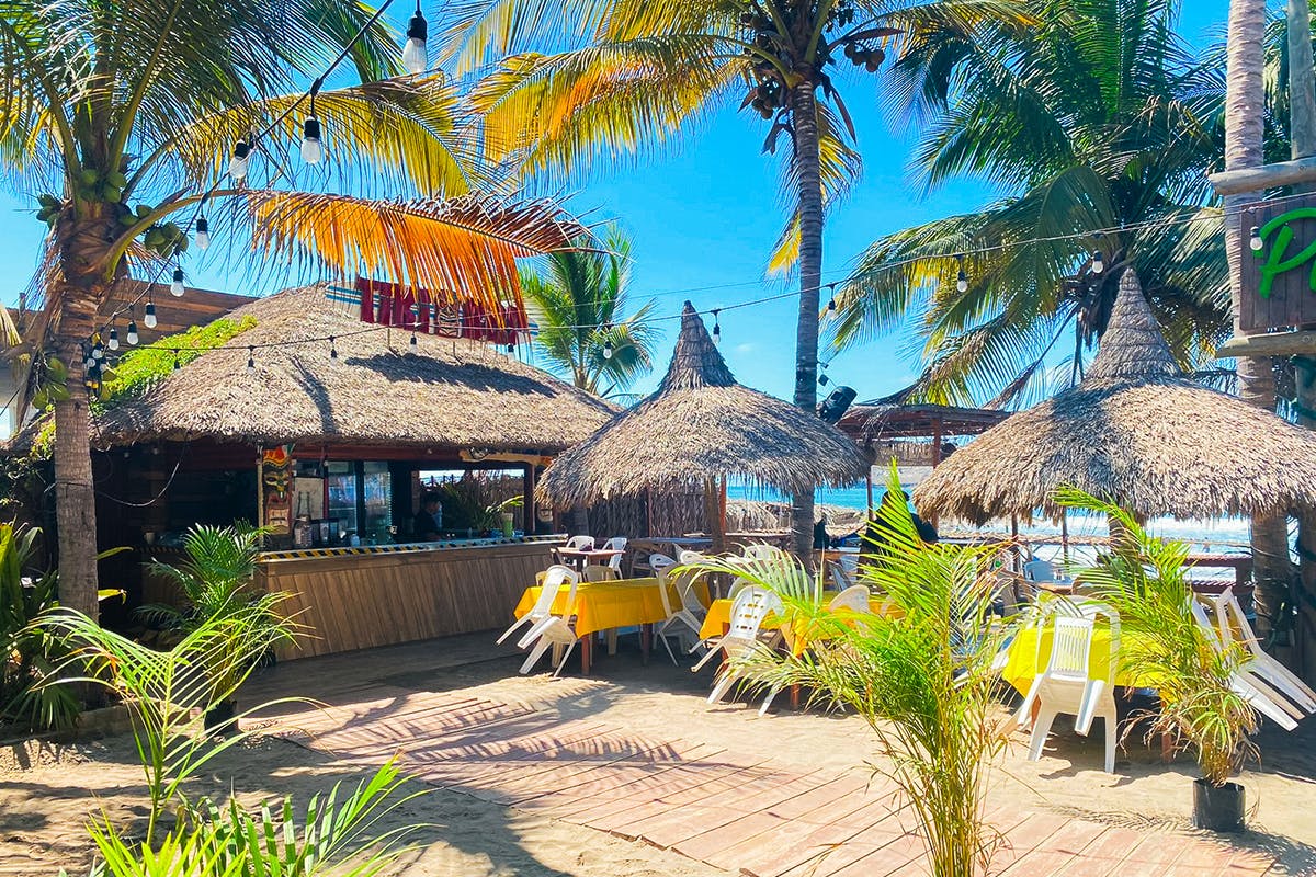 Mangrove & Beach Escape