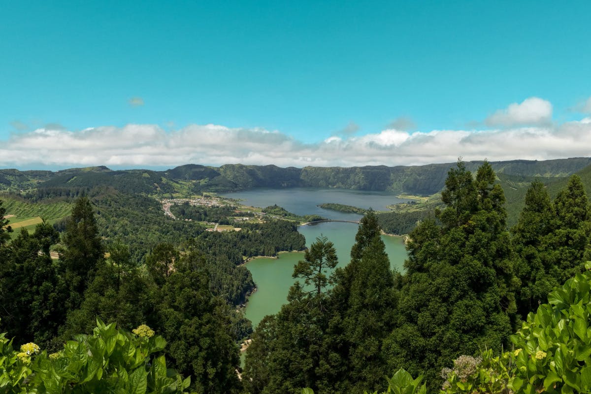Panoramic Island Tour