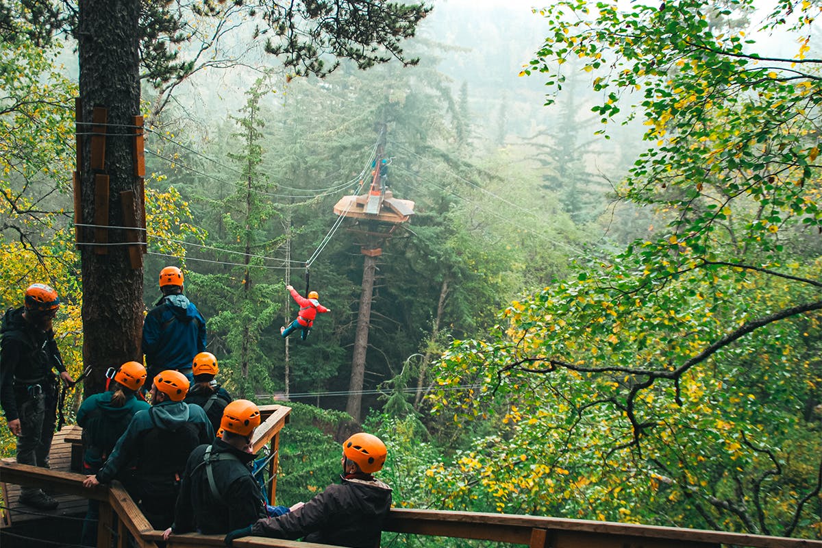 Alaskan Zip-line Adventure