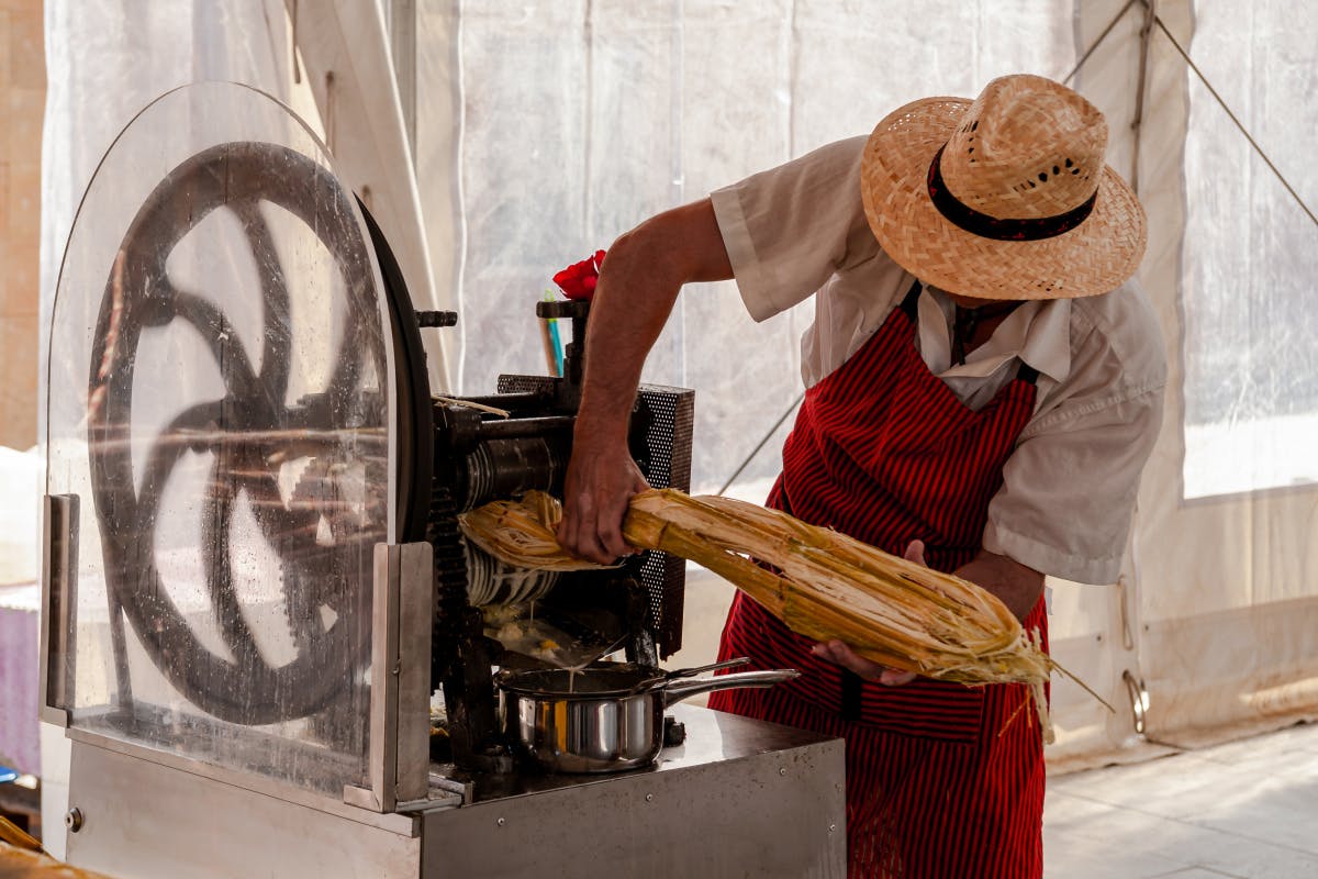 Cultural Getaway in Puerto Plata
