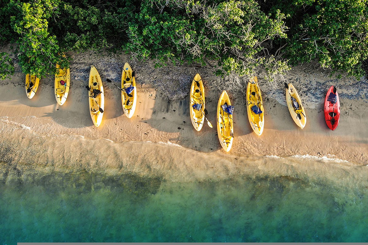 Row of kayaks on the beach.