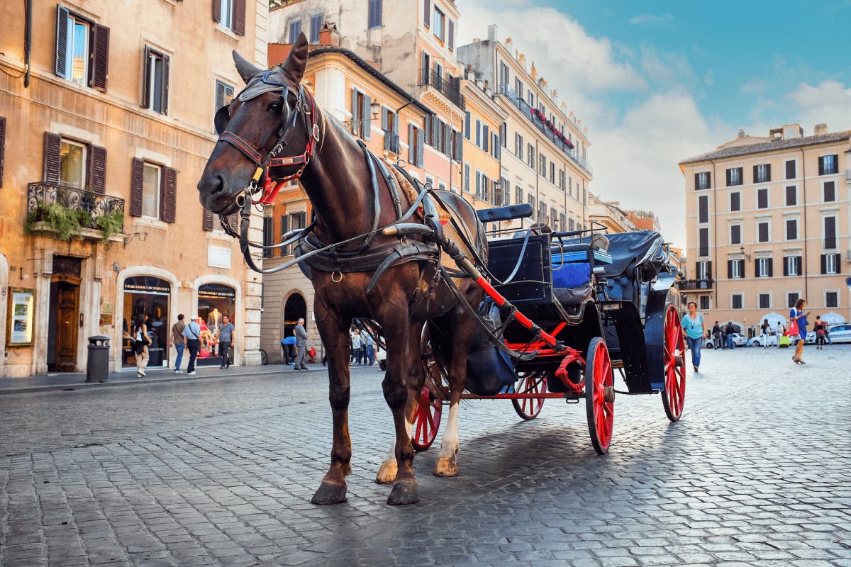 Bruges Date for Two by Horse Carriage