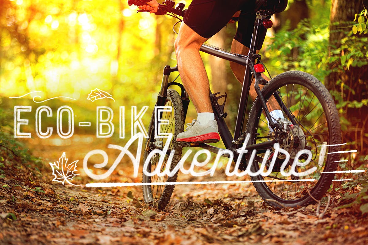 Mountain Biking & Wildlife Spotting