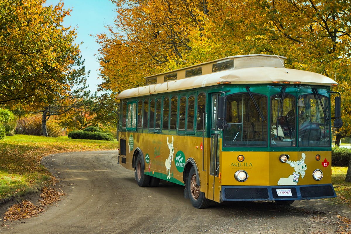 A Trolley Ride Through Time