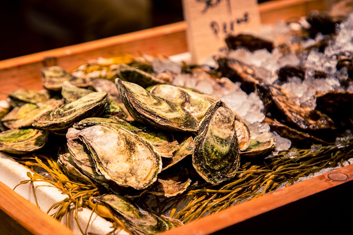 A Taste of Nova Scotia (Small Group Tour)
