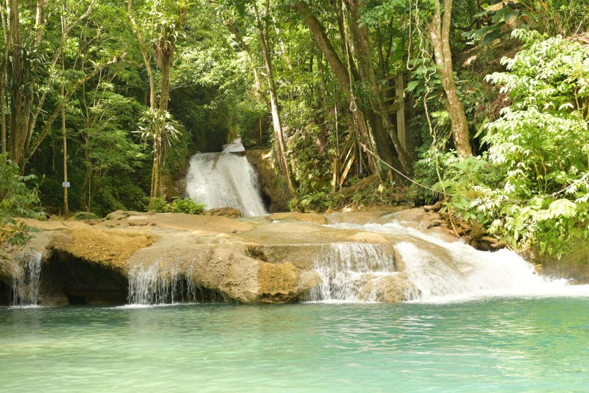 Blue Hole Express & Jerk Lunch