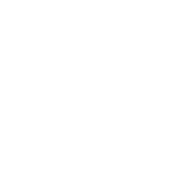 Connection Icon