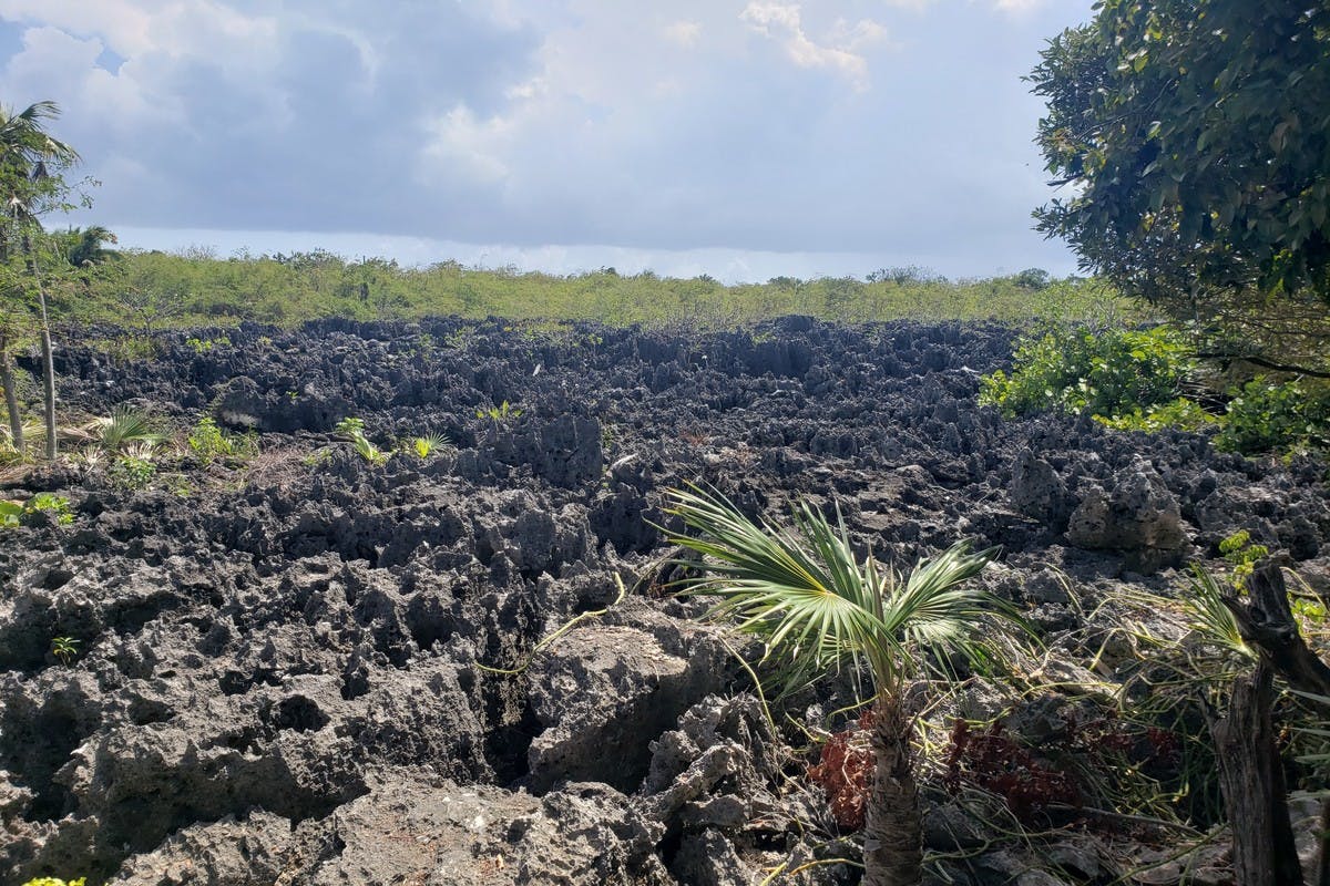 Grand Cayman's Greatest Hits