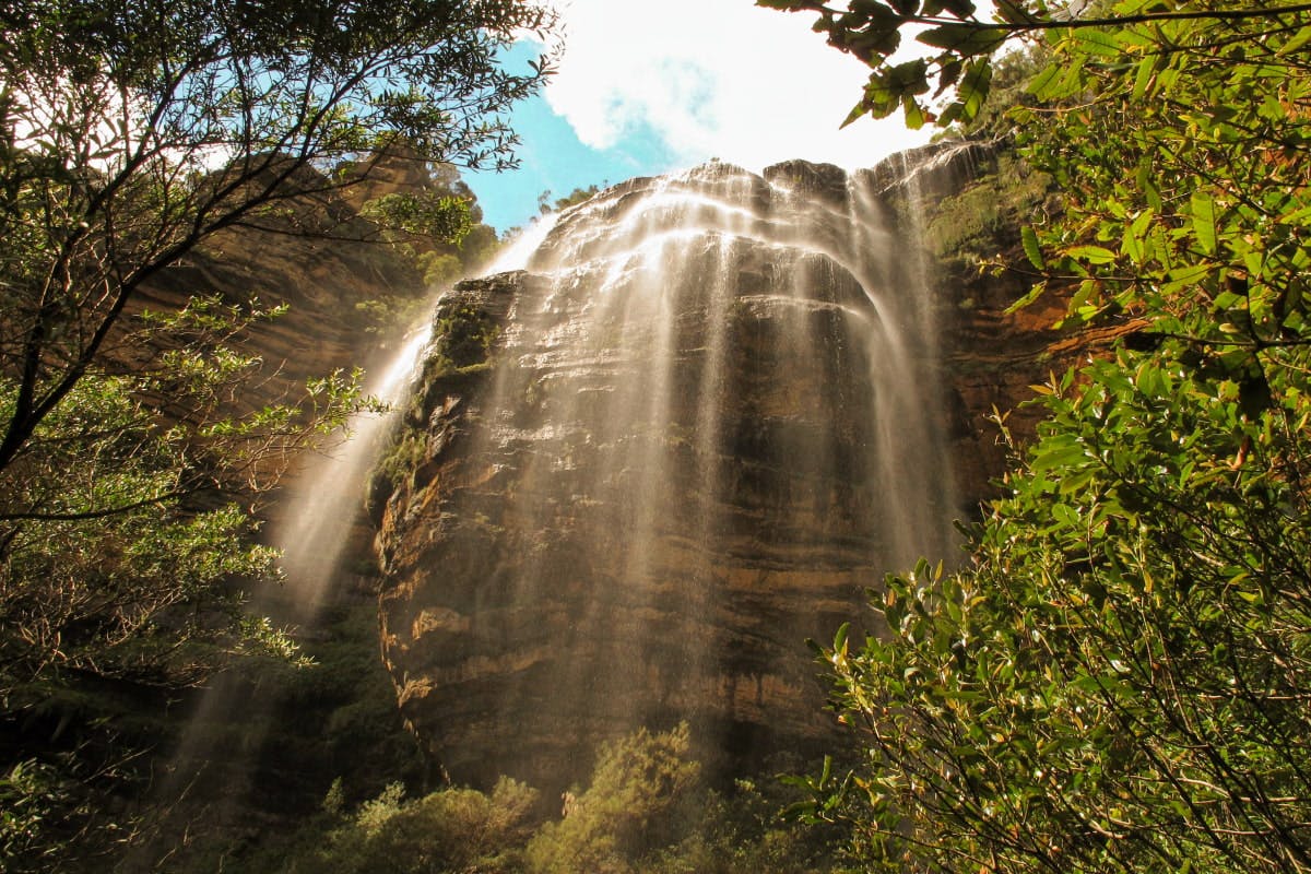 Blue Mountain Bush Walk
