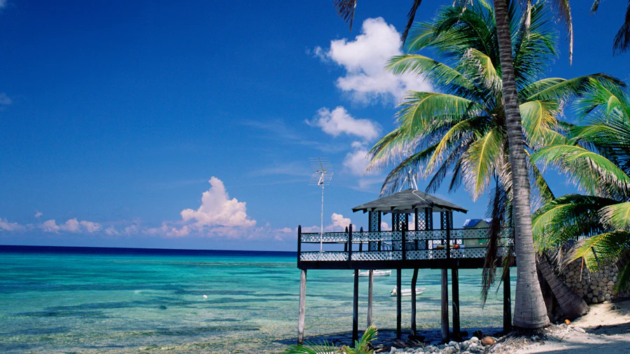 Virgin Voyages — Western Caribbean & Bimini Beach Club