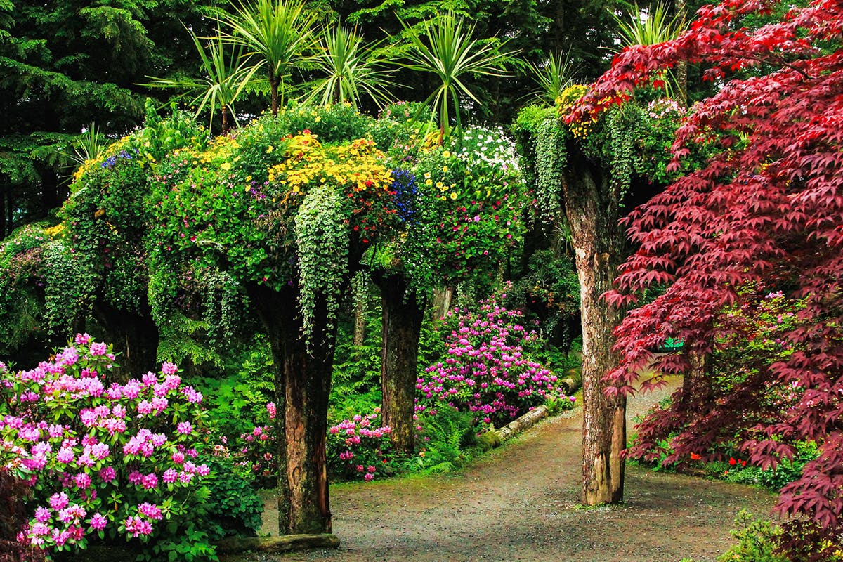 Glacier Gardens & Alaska State Museum