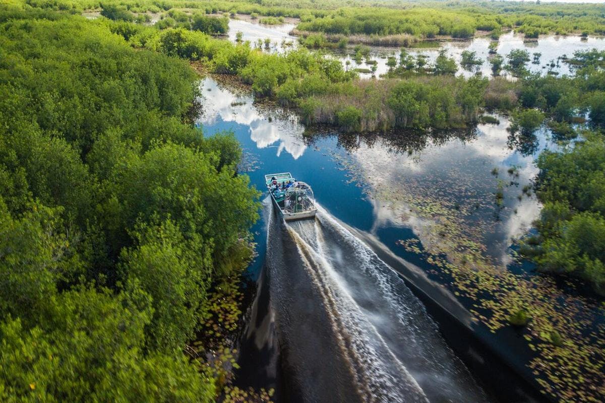 Airboat Ride, Rum Tasting, & Garifuna Dancing