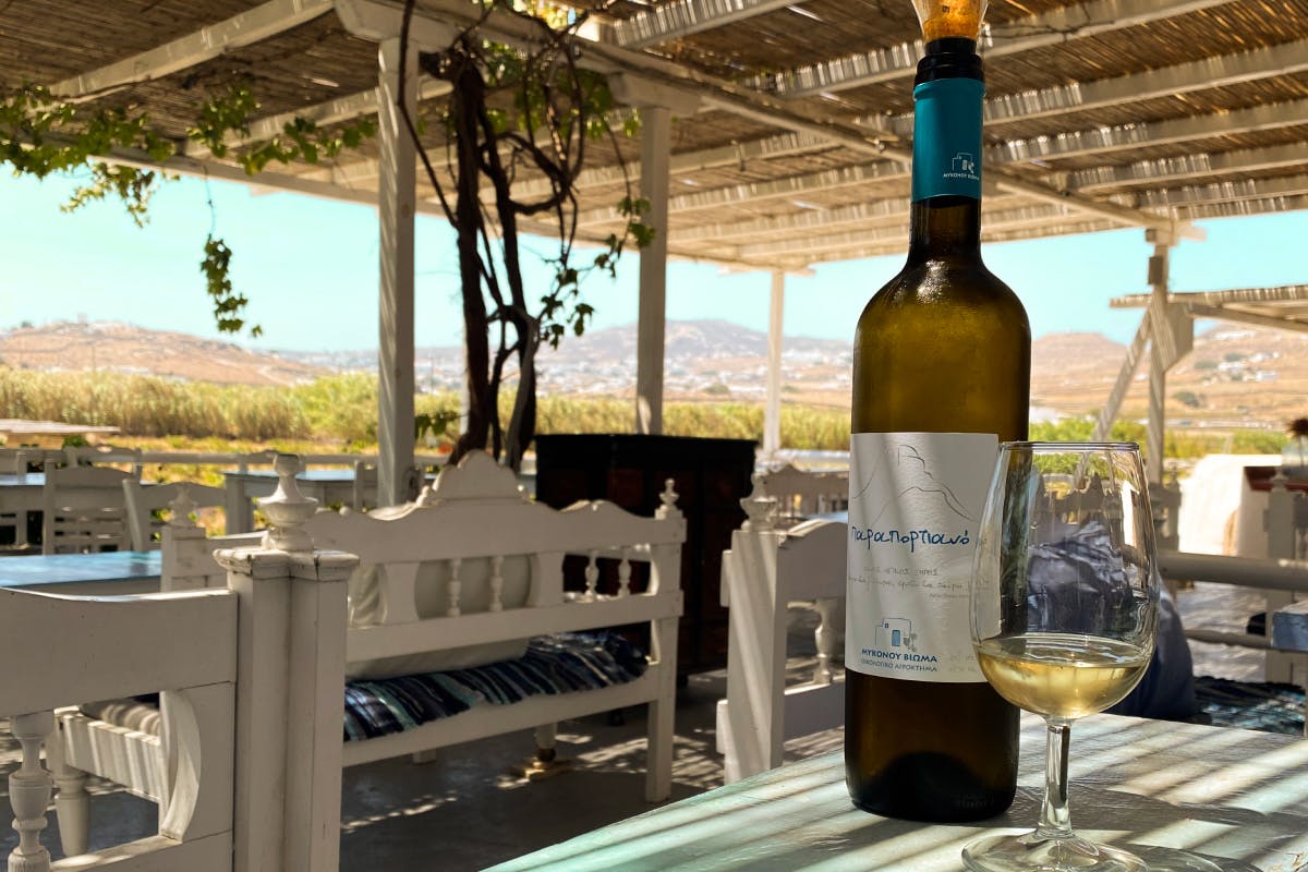 Ano Mera Square & Vioma Organic Vineyard