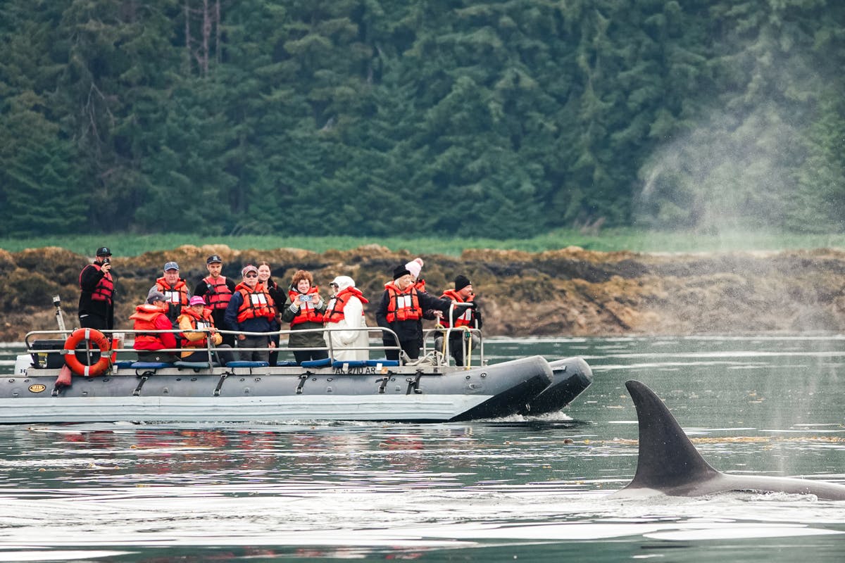 Coastal Expedition & Fin Island Lodge Feast