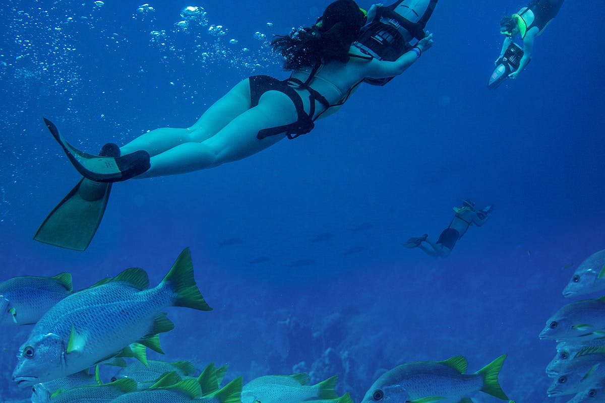 Power Snorkel and Stingrays